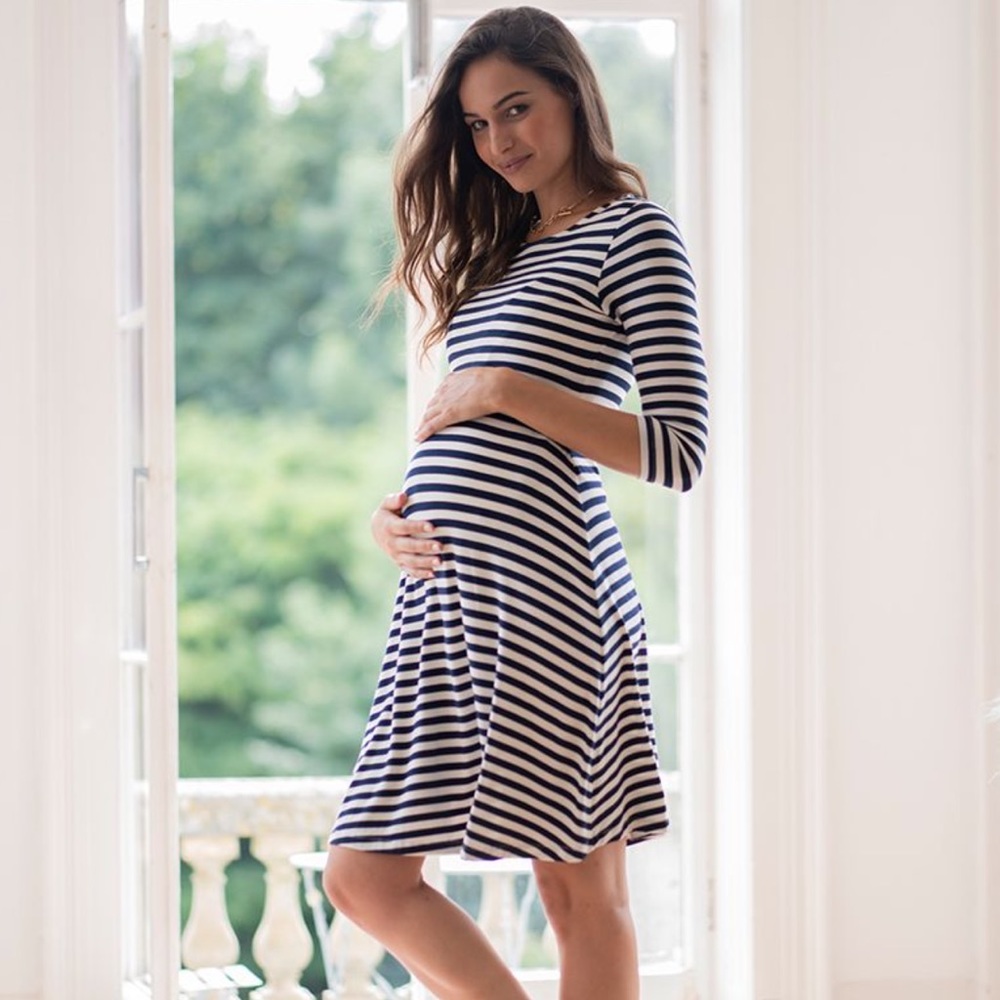 Seraphine Maternity & Nursing Dress